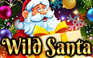 Wild Santa